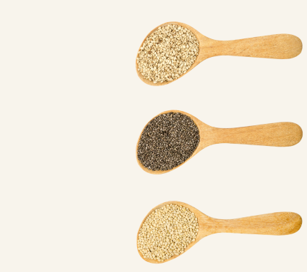 Grain Free