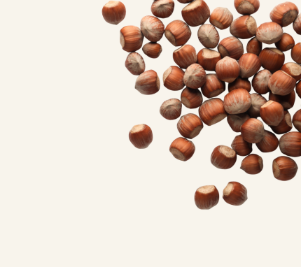 Nut Free
