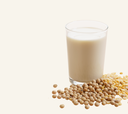 Soy Free