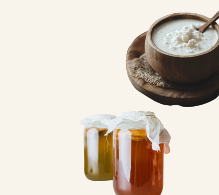 Kombucha & Kefir