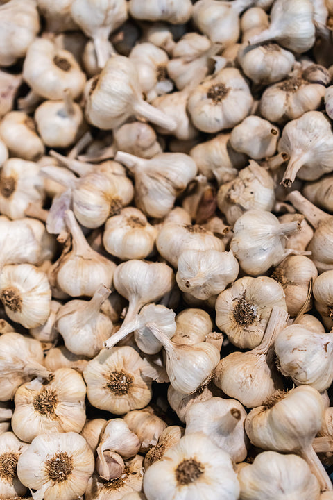 Fresh Garlic Bulb - El Dorado Garlic