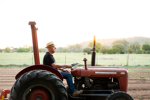Fresh Garlic Bulb - El Dorado Garlic