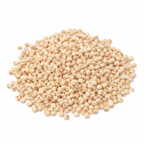 Sorghum Grain