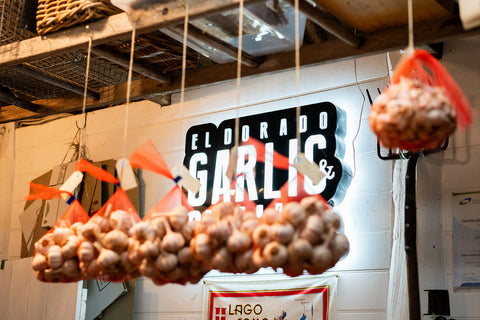 Fresh Garlic Bulb - El Dorado Garlic