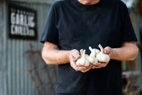 Fresh Garlic Bulb - El Dorado Garlic