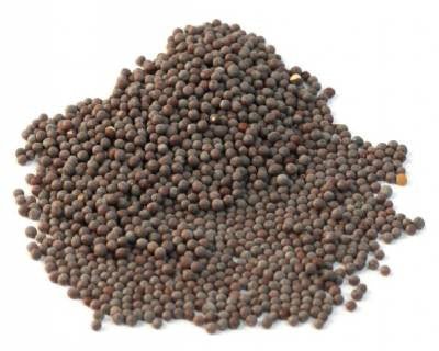 Mustard Seeds Black (Brown)